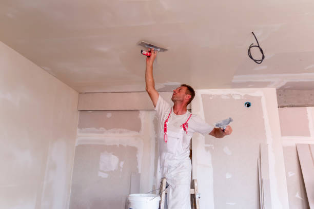 Best Drywall Crack Repair  in Cottage Lake, WA